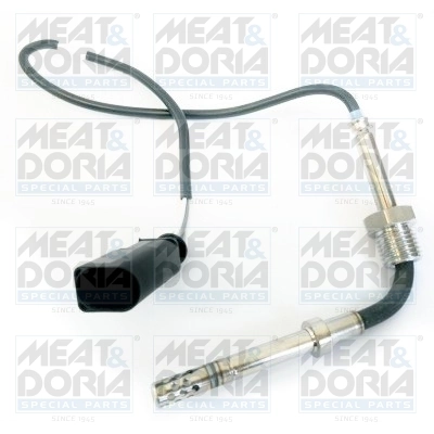 Sensor, exhaust gas temperature